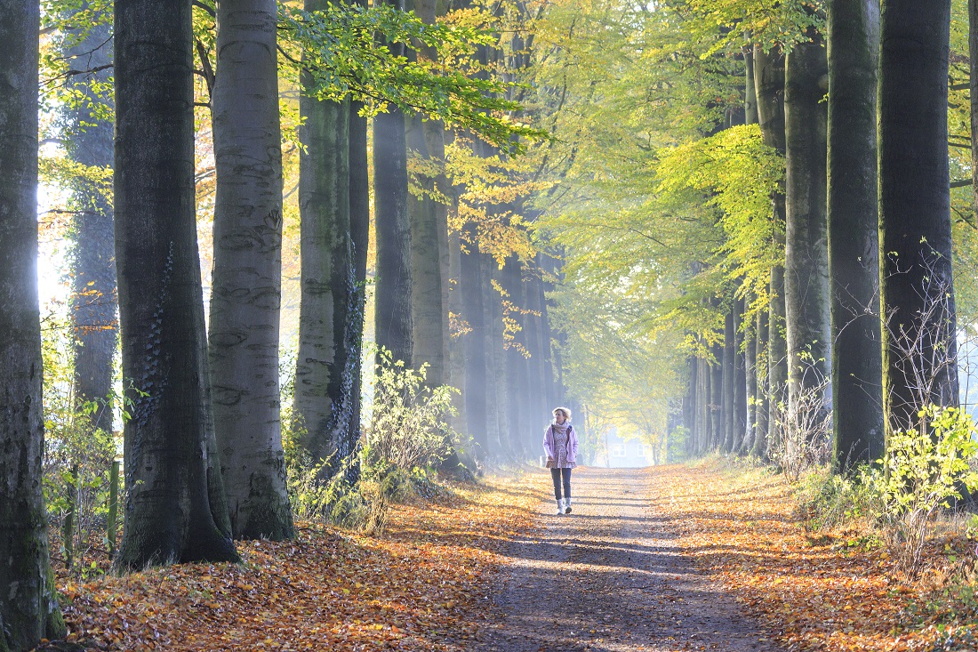 Inspiratie 5 x bijzonder toffe uitjes in het Rijk van Nijmegen indebuurt Nijmegen
