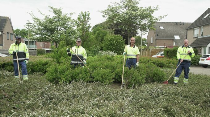Meewerkend voorman groen