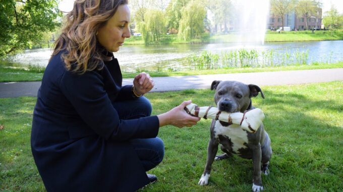 Aware Pet Products