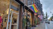 regenboogvlaggen