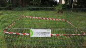 Afvalbedrijf Dar plaatst in Nijmegen bladkorven om afgevallen blad te verzamelen