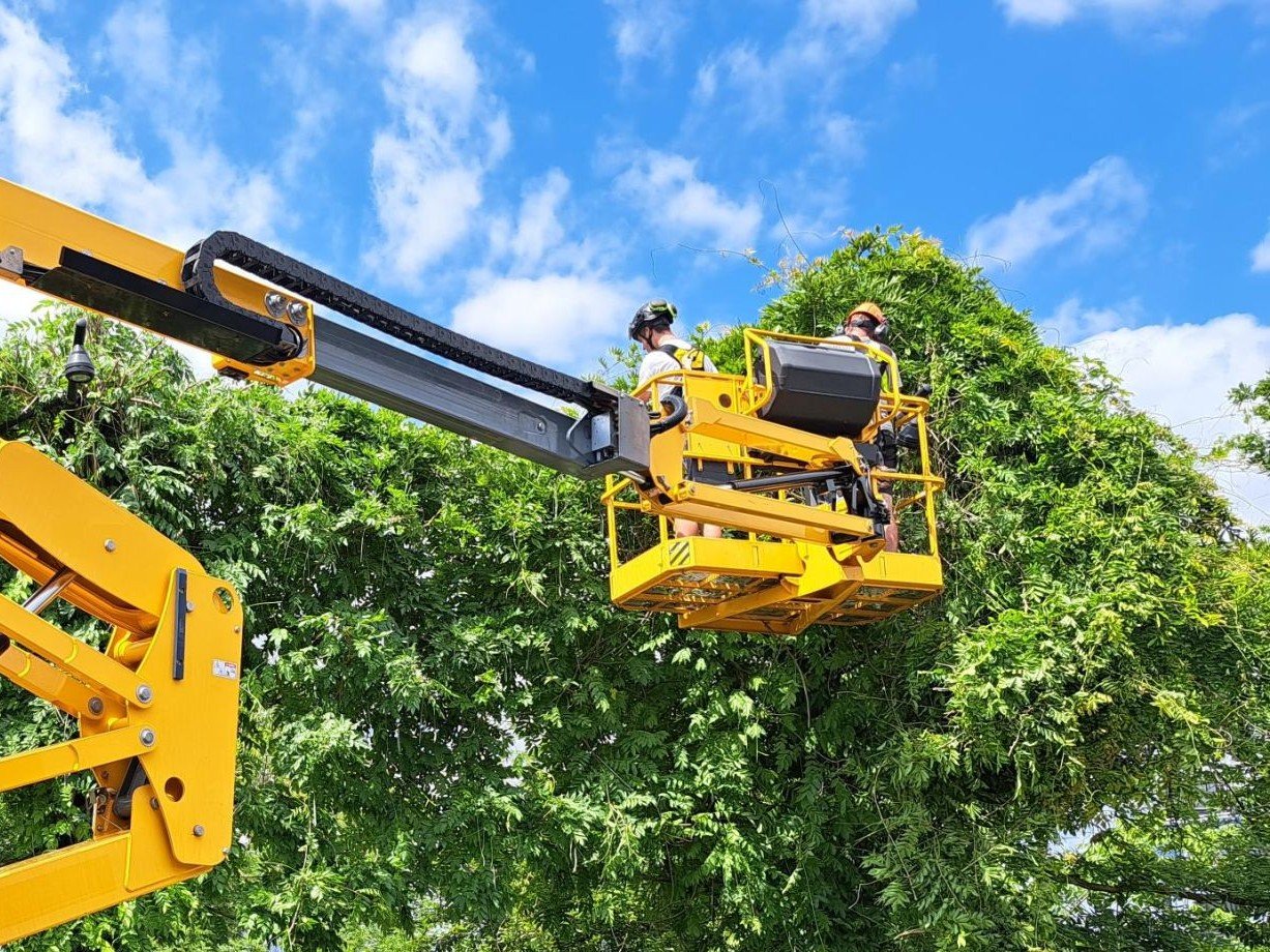 Hier in Nijmegen leer je het hoveniersvak: ‘Studenten worden hier écht gezien’