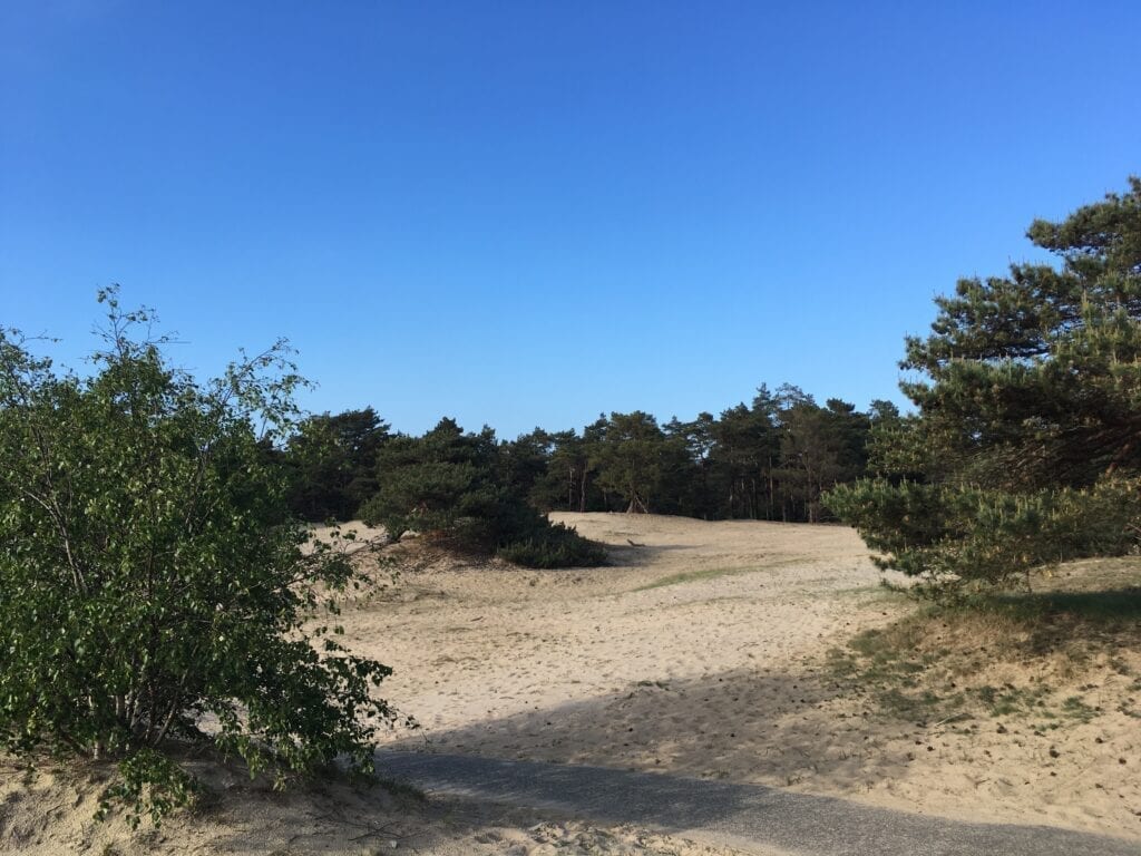 Beekhuizerzand