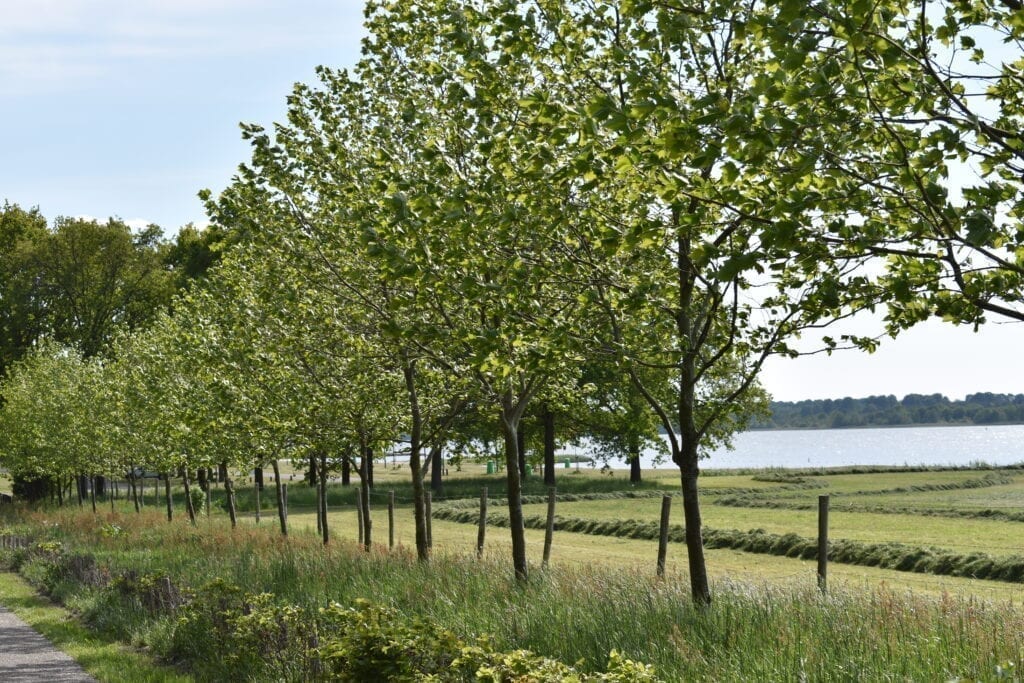 Stukje Wolderwijd