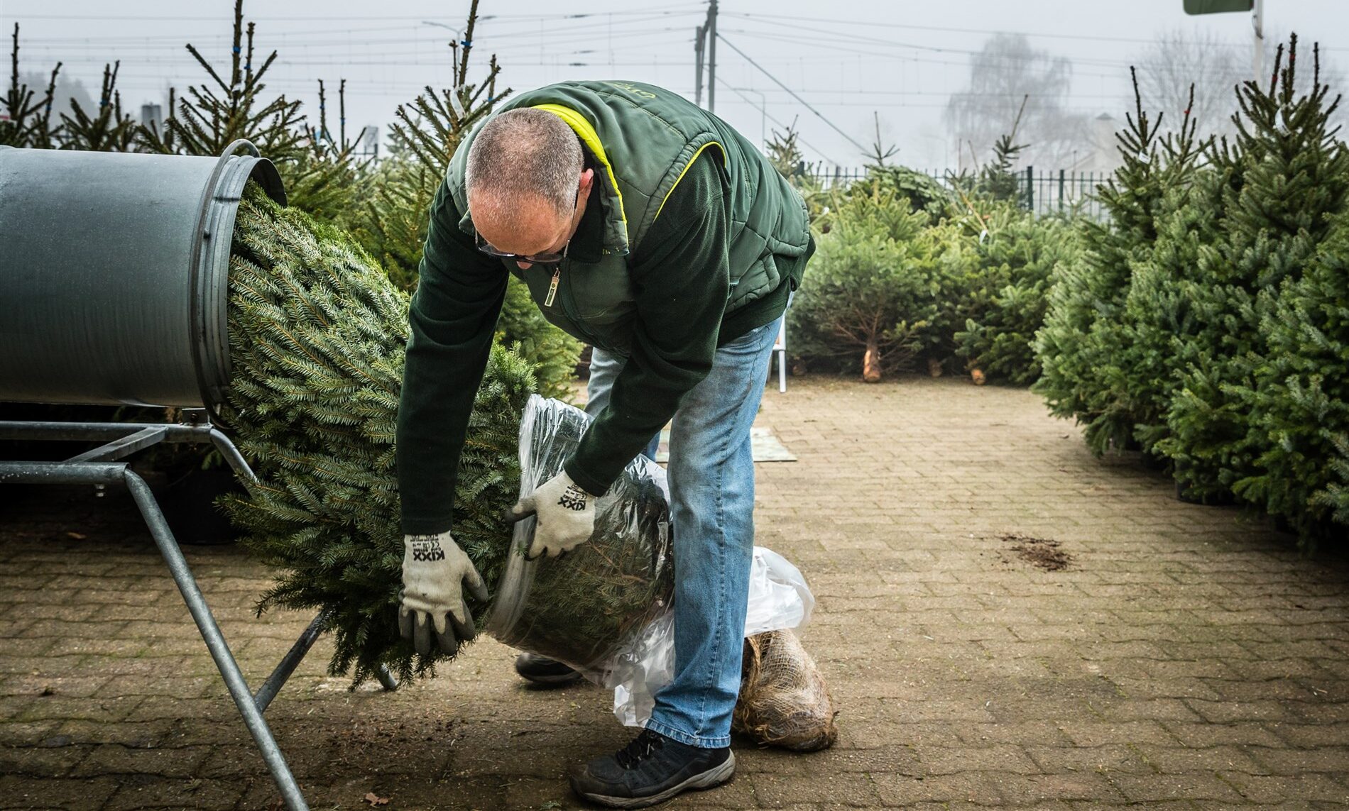 Hier koop je een kerstboom in Harderwijk, Ermelo en Putten indebuurt