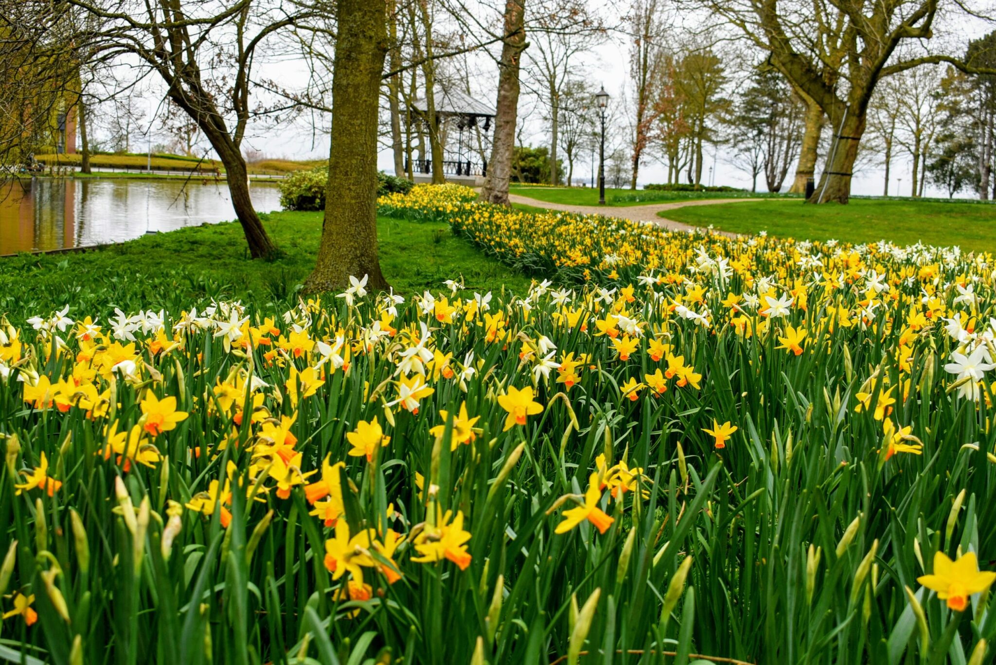 Pasen 2021 Lente in Harderwijk, Ermelo en Putten.