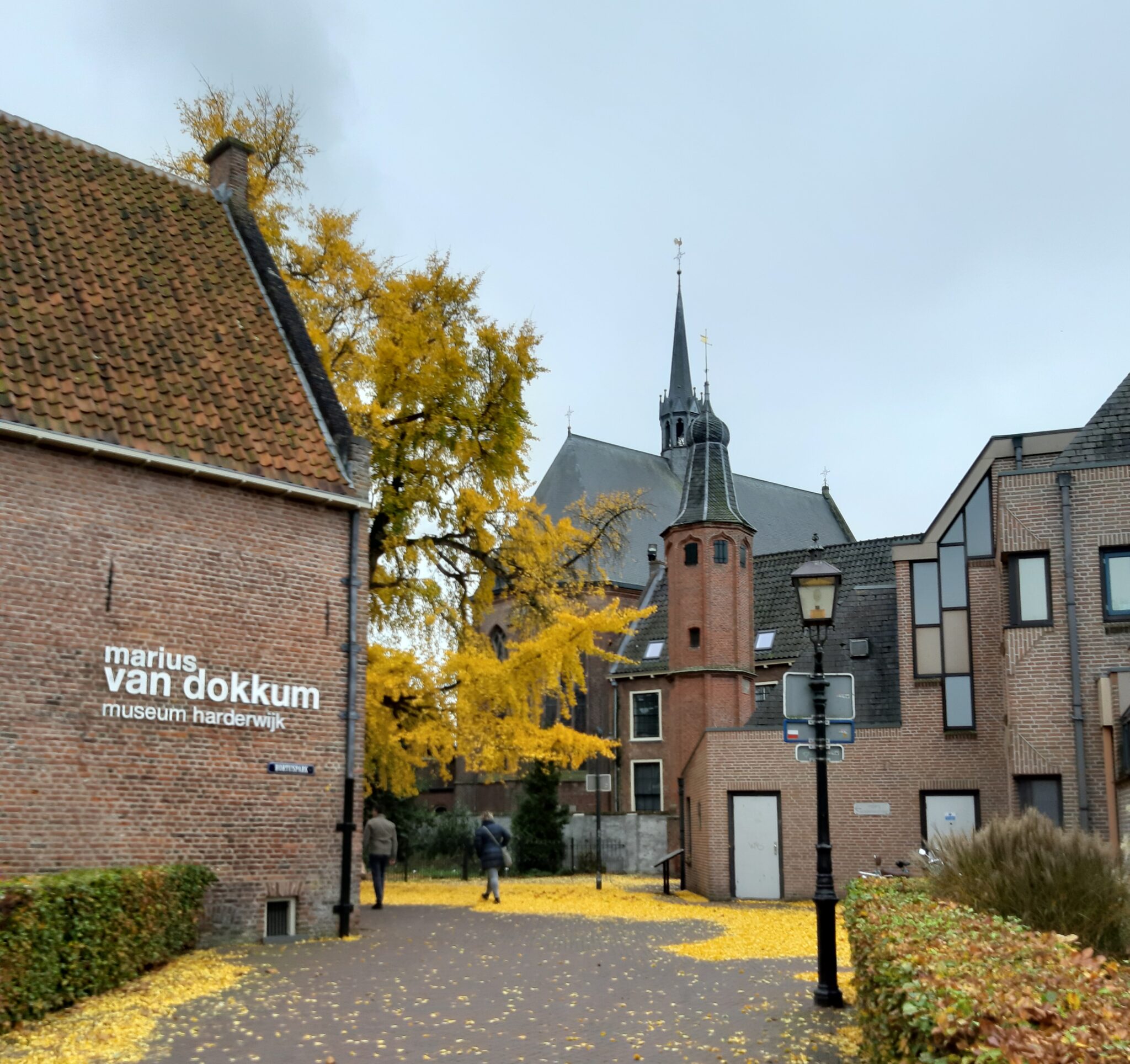 Marius van dokkum