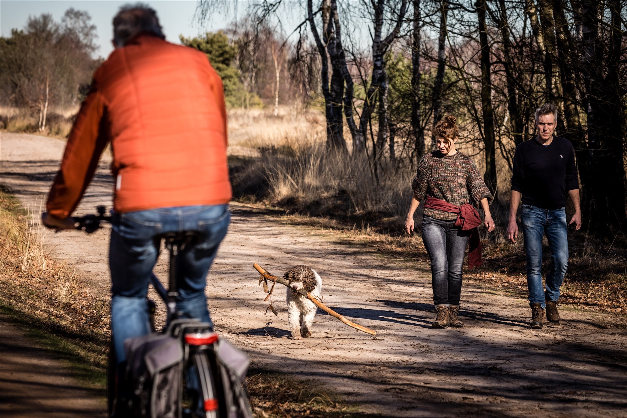 hond uitlaten vrij zonder riem losloopgebied los lopen hond ermelo harderwijk putten