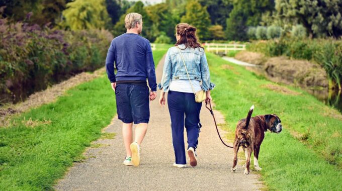 hond loslopen tijdelijk verbod ermelo aanlijngebied