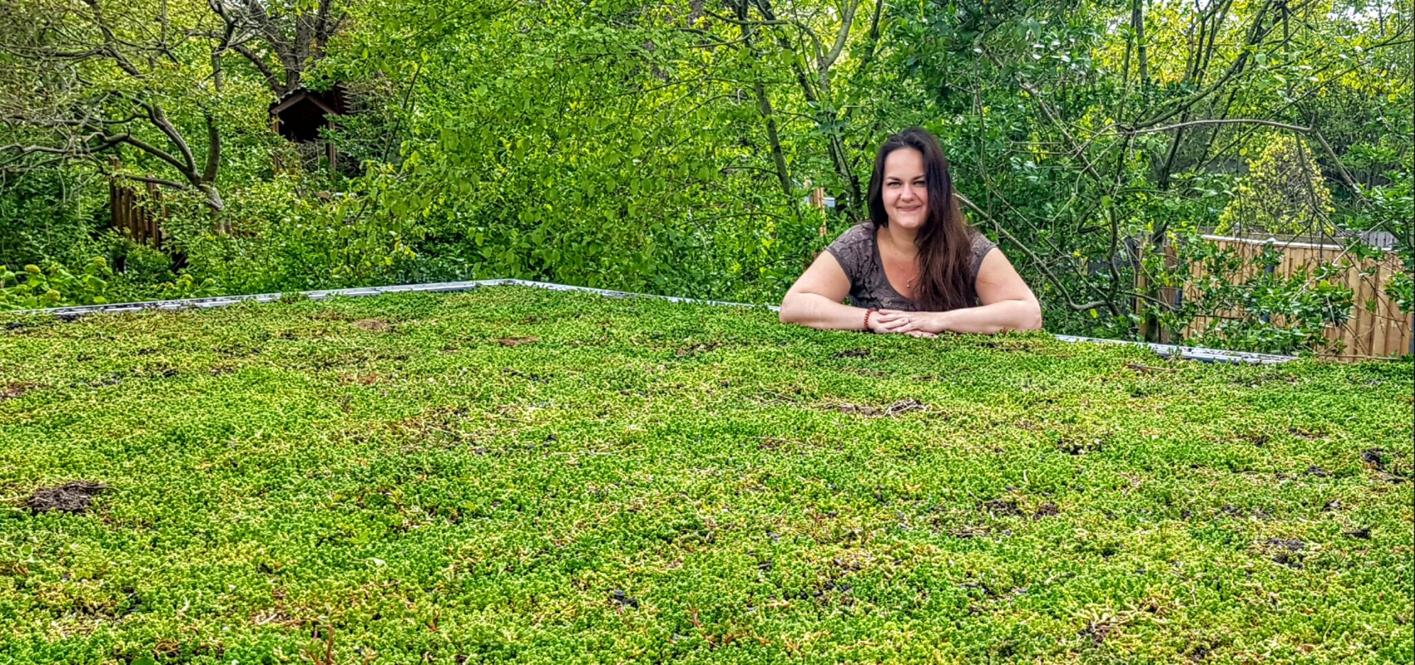 roos groen dak