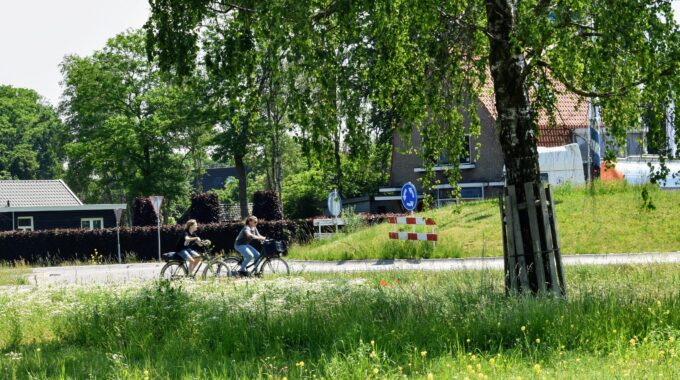 hooikoorts pollen harderwijk ermelo putten