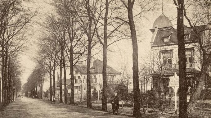 oranjelaan harderwijk