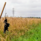 dode kraaien ermelo Pelserpad