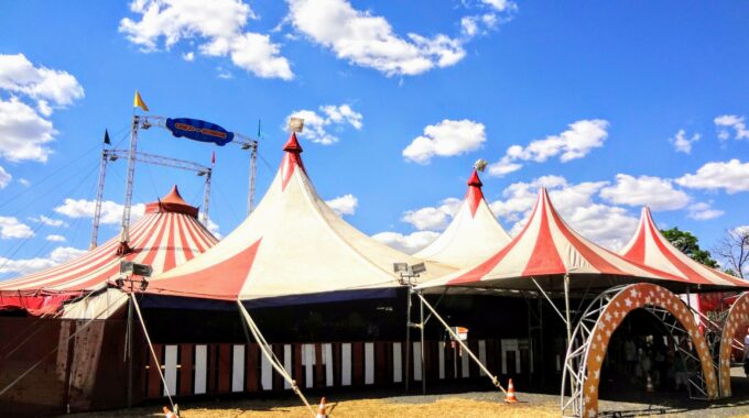 circus bolabou ermelo
