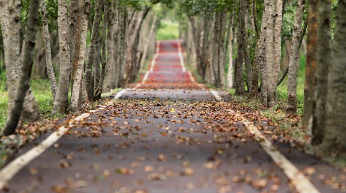 weersvoorspelling oktober herfst harderwijk ermelo putten