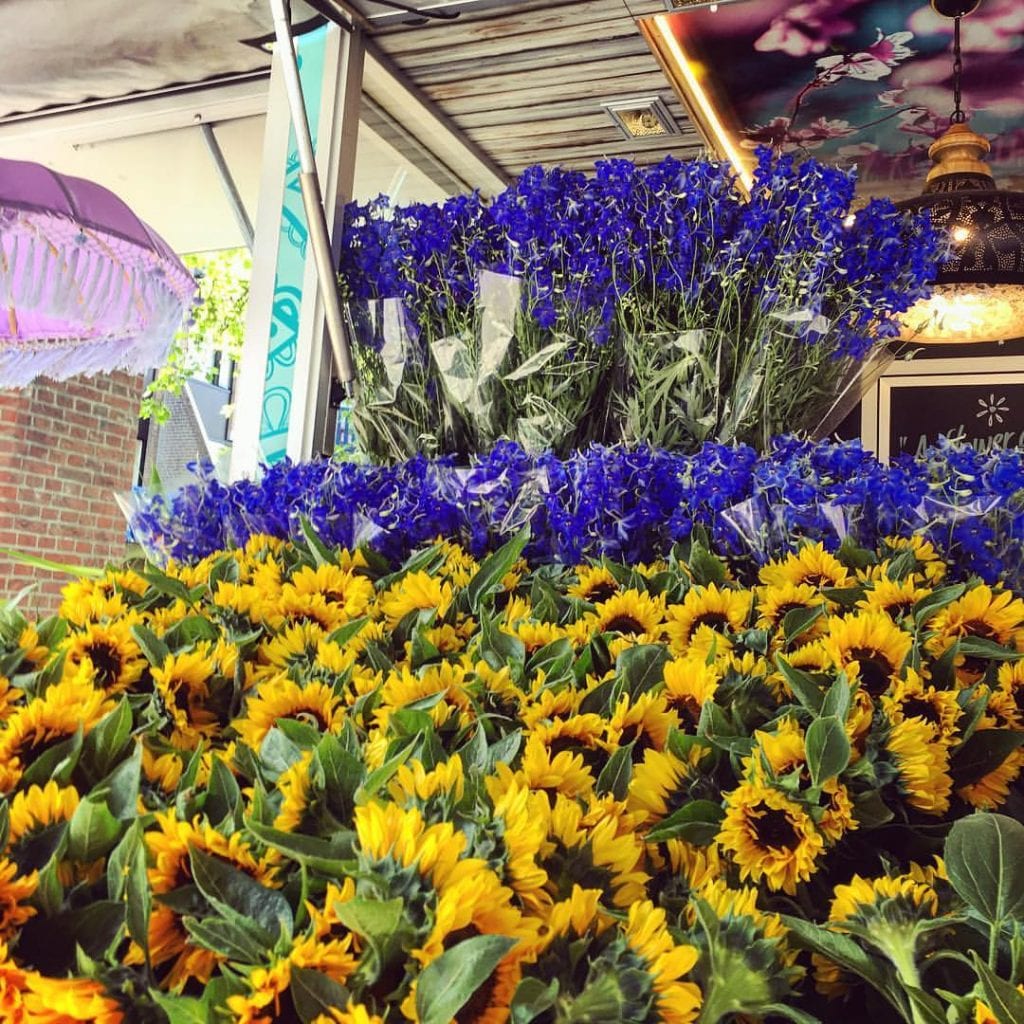 Syl's FlowerPower
