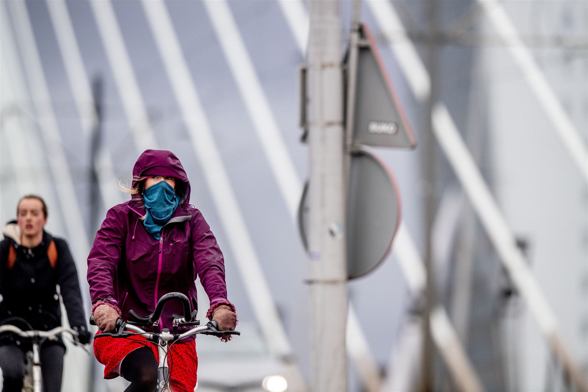 Erasmusbrug 2019