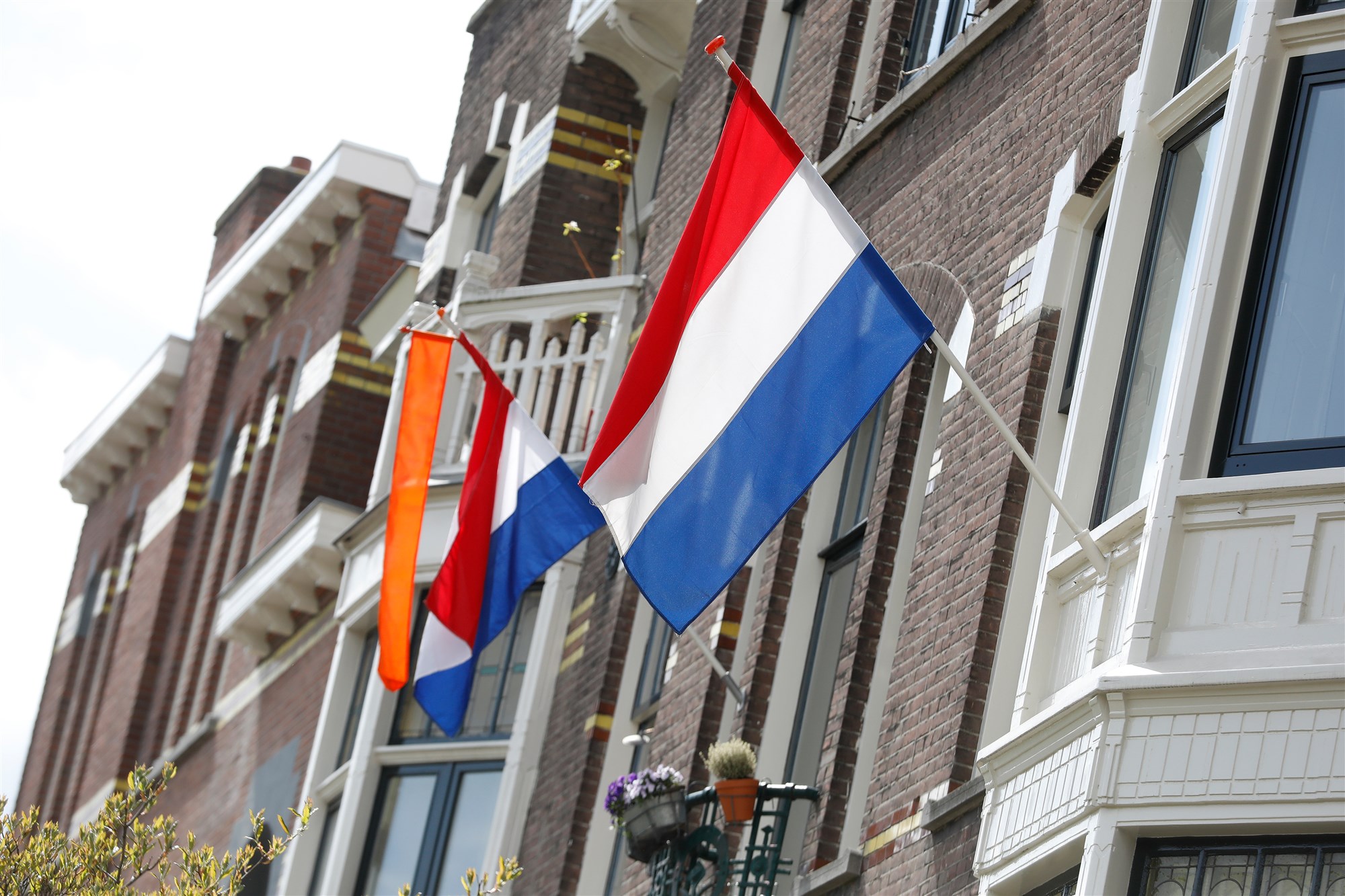 Koningsdag Rotterdam