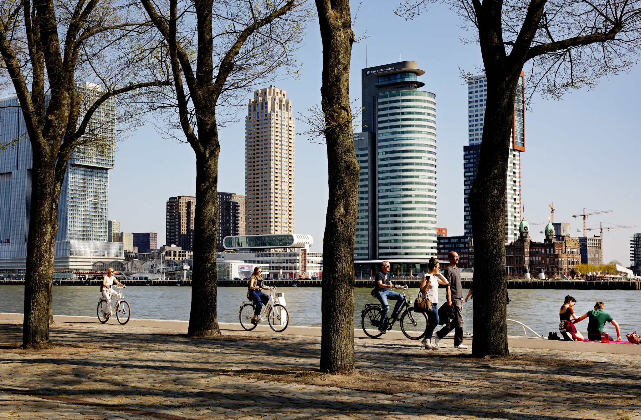 scheepvaartkwartier kop van zuid skyline lente fietsen wandelen