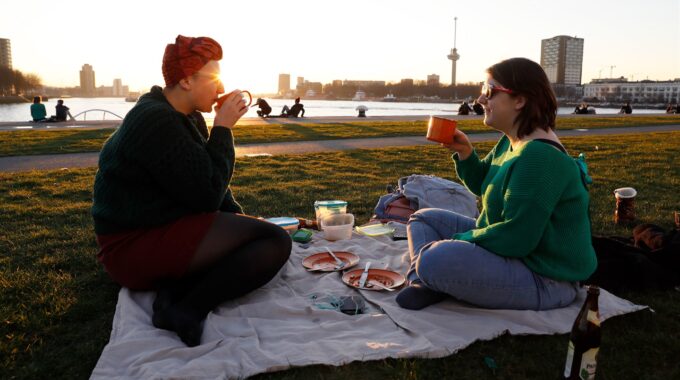 picknick rotterdam