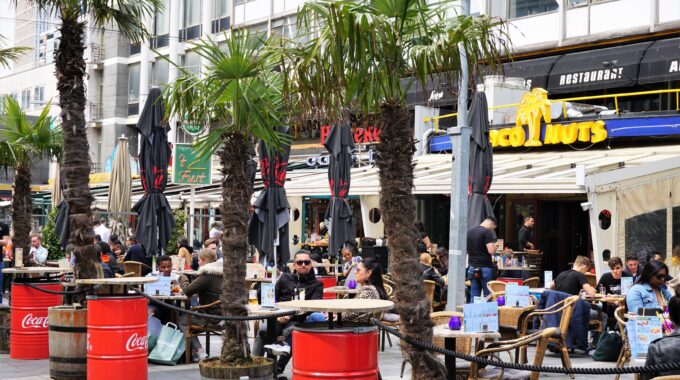 coconuts eerste terrasdag