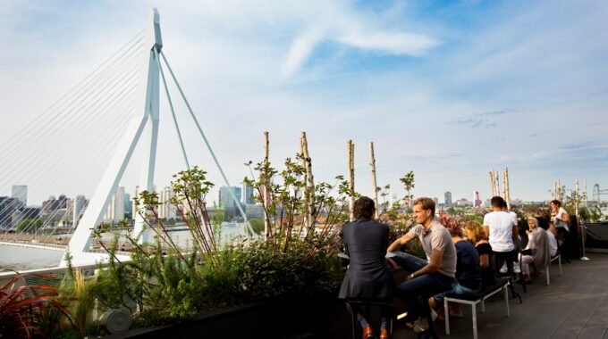 erasmusbrug