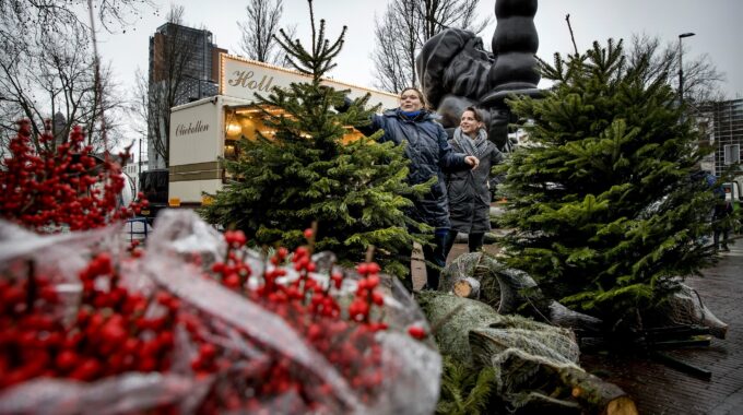 kerstboom rotterdam