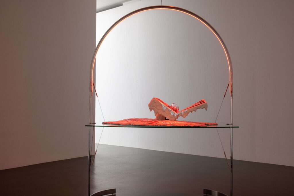 Ane Graff Kunstinstituut Melly Rotterdam