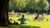 2017_Vroesenpark_67A0049_IrisvandenBroek_iris-van-den-broek