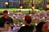 zoomerterras diergaarde blijdorp