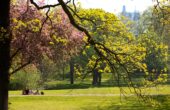 park herfst