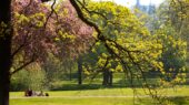 park herfst
