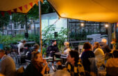 rotterdamse munt