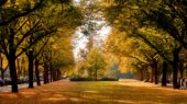 Weersverwachting november