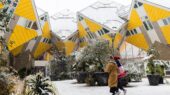 Kubuswoningen sneeuw Rotterdam Foto Guido-Pijper