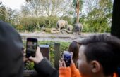 diergaarde blijdorp anp (2)