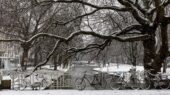 winter Rotterdam