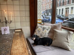 Restaurant Speck