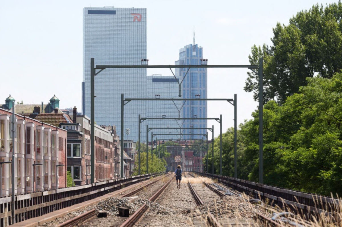 Tip! Dit voorjaar maak je een unieke wandeling over de Hofbogen