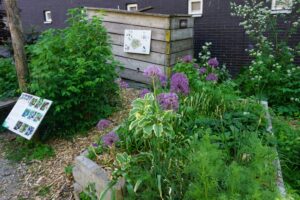 Tuin van de Wijk Rotterdam
