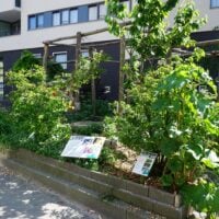 Tuin van de Wijk Rotterdam