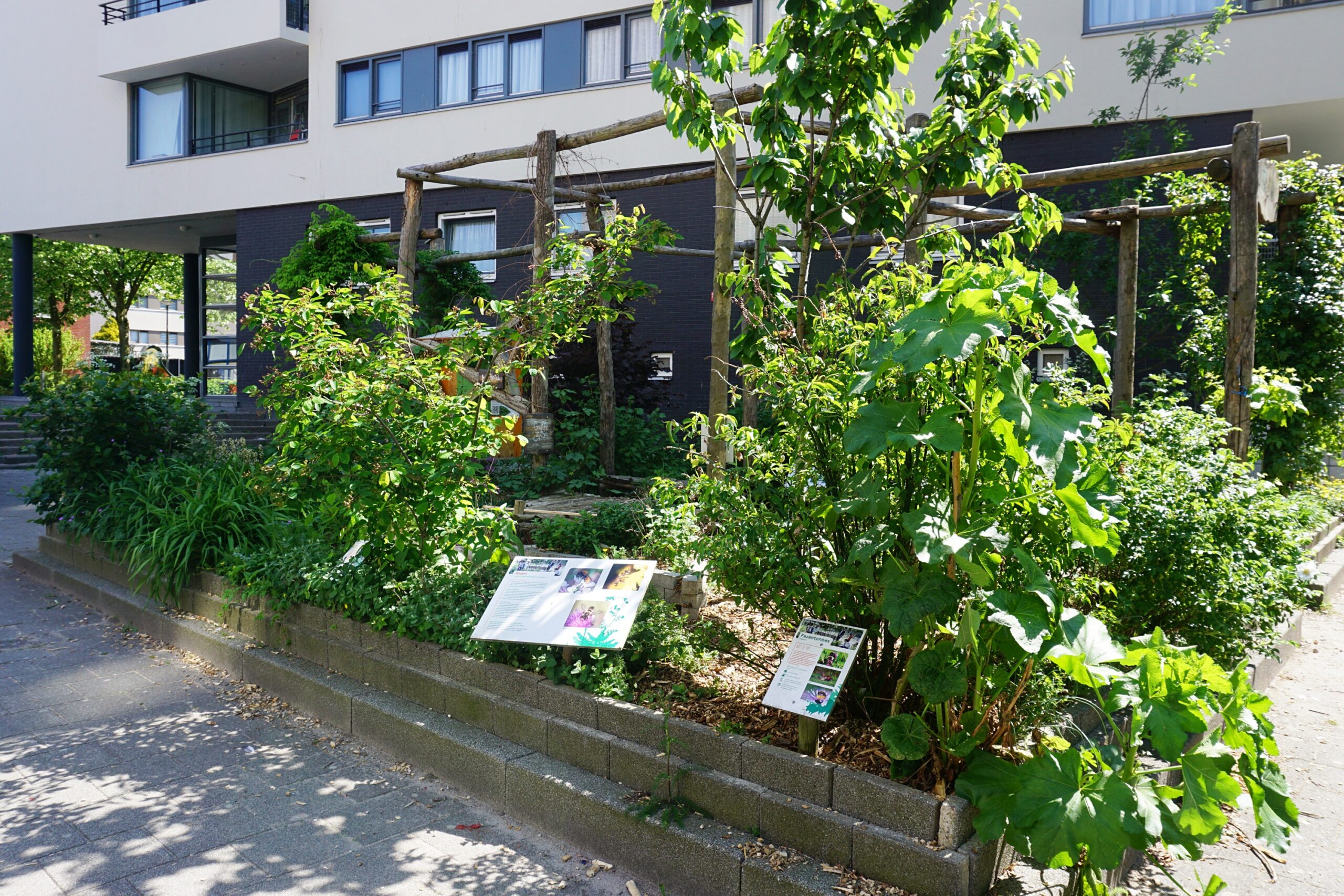 Huh? Deze tuin op Zuid staat vol eetbare planten