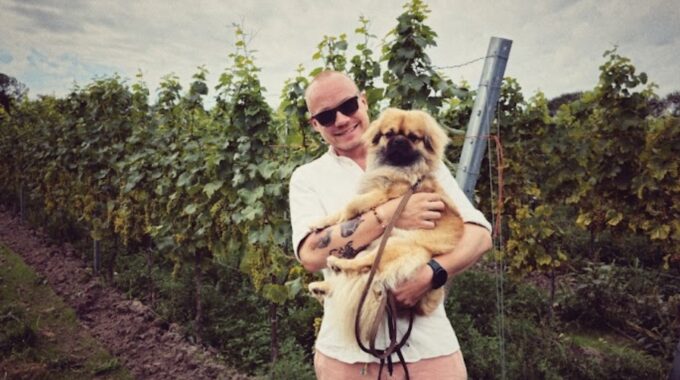 Bram-Faber