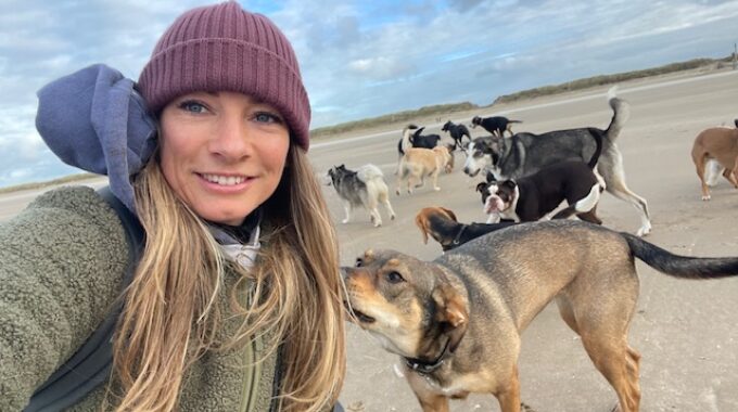 my favorite dog walker