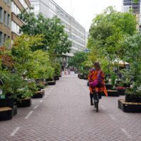 Meent Rotterdam autoluw