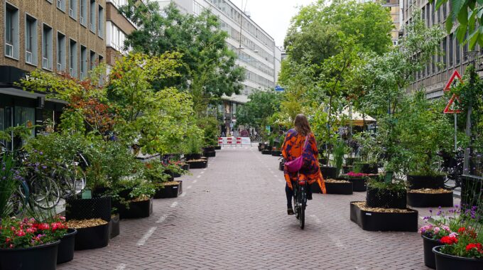 Meent Rotterdam autoluw