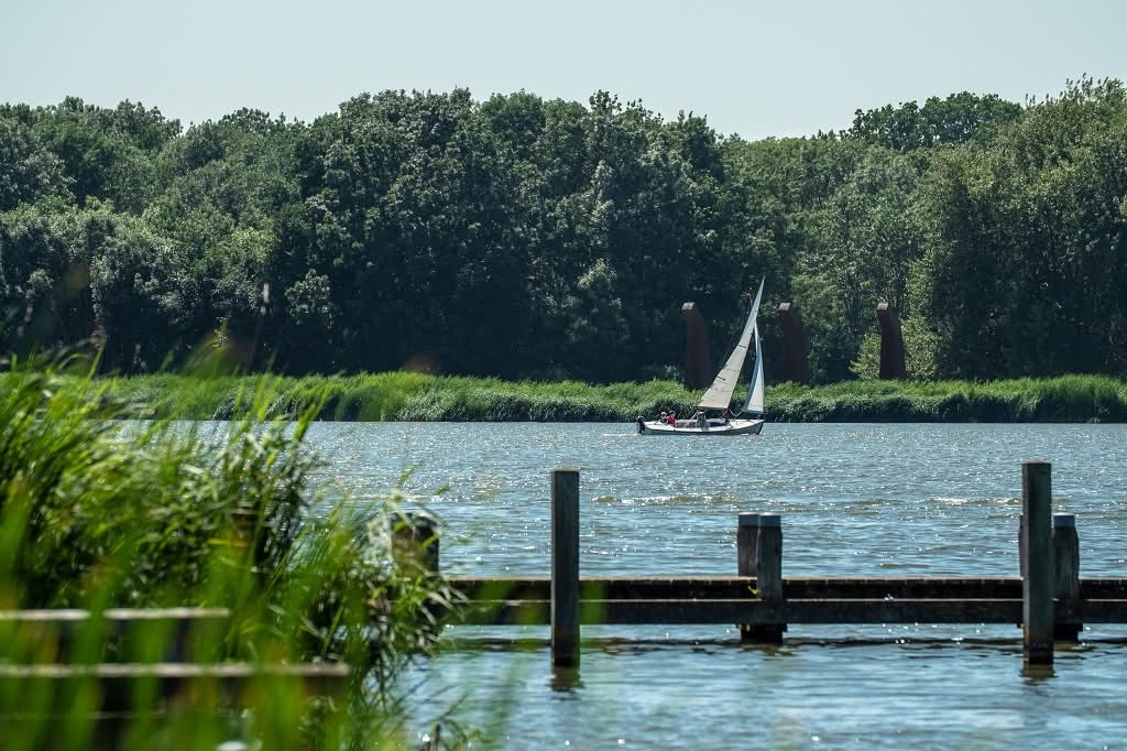 Wow! Hier kampeer je midden in de natuur en ben je zó in Rotterdam