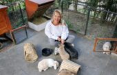 Anne konijnendeskundige