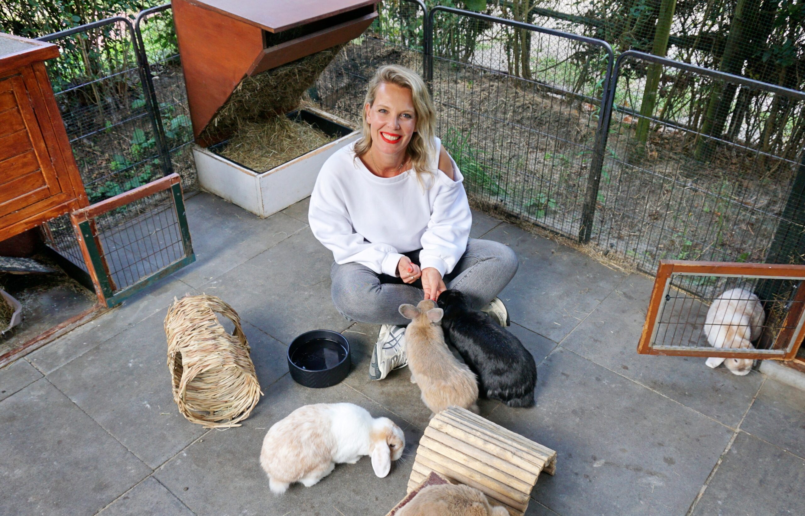 Anne geeft workshops over konijnen in haar tuin: ‘Ik leer je alles over keutels en gedrag’