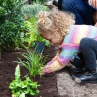 Groene Doeners Festival Rotterdam